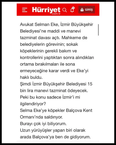 avvocato italiano in turchia